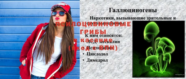 мдпв Нязепетровск