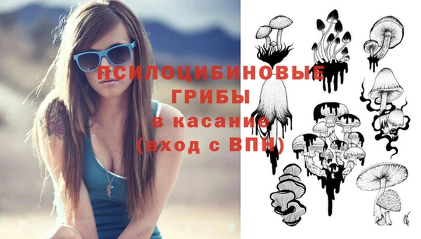 мдпв Нязепетровск