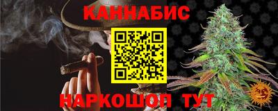 дмт Новодвинск
