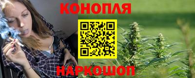 дмт Новодвинск